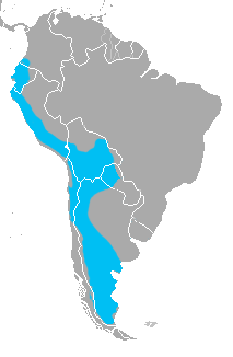 Leopardus_pajeros_range