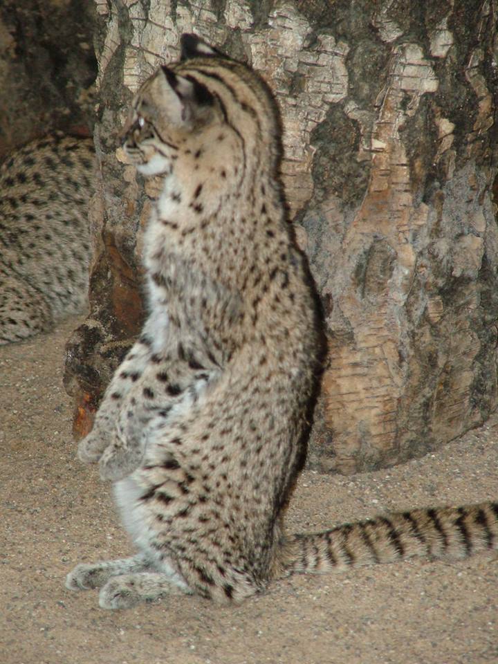 20638169_1125279684238462_7050727966076821517_n