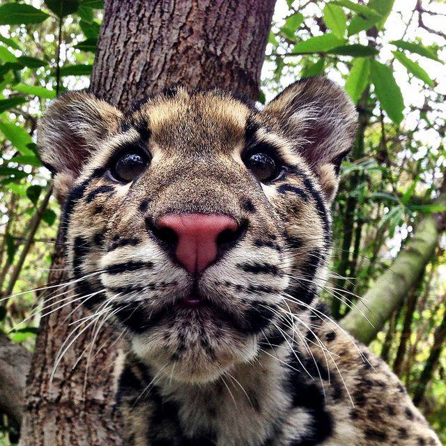 21270814_1145390452227385_9033416960785885950_n