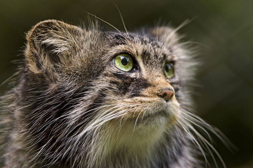 21272666_1145390422227388_3925651445889726958_n