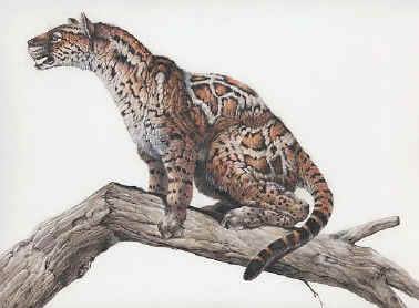 22046437_1161017980664632_9161126024410290252_n