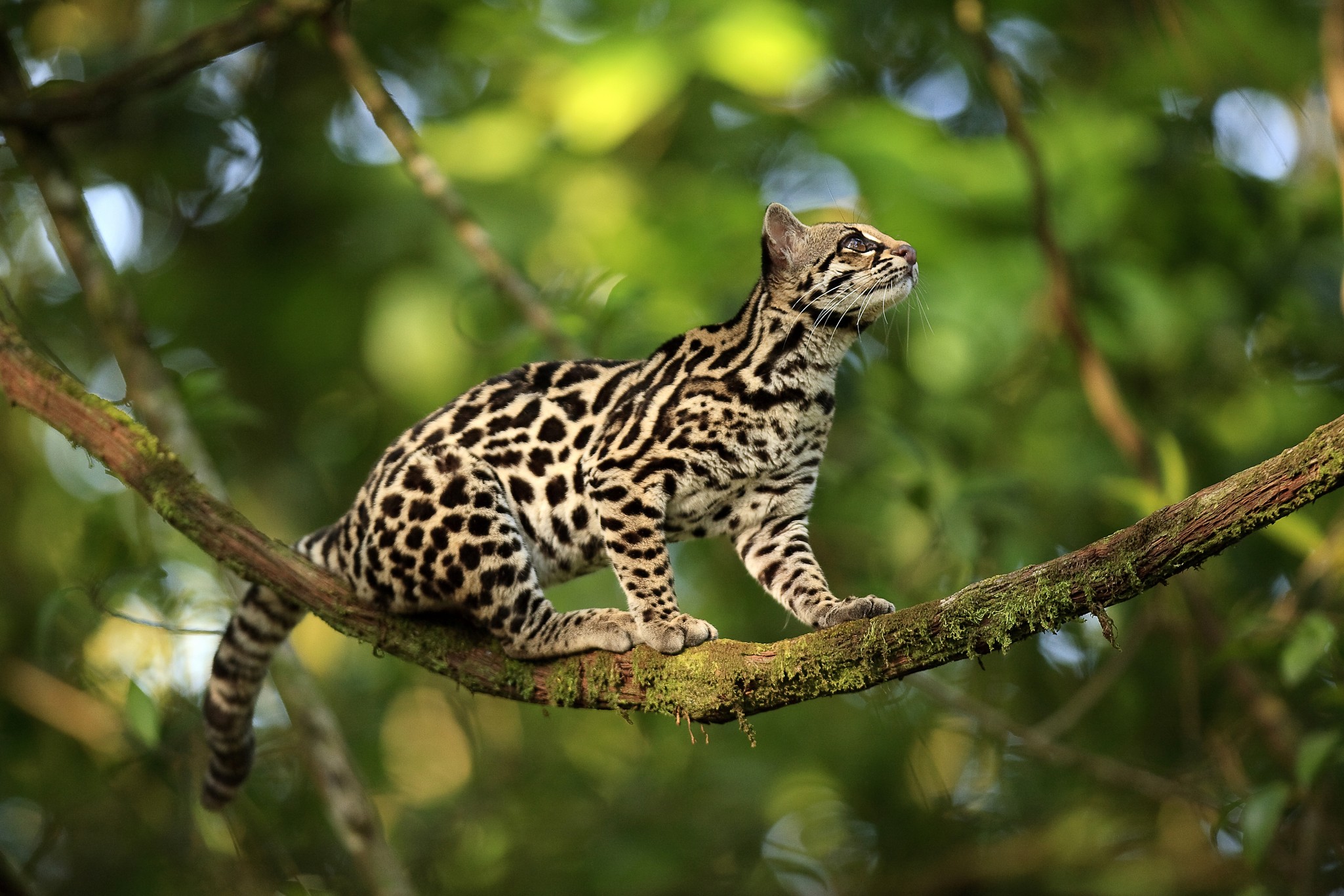 63f3c3041d62b6d665c365198b4430f6